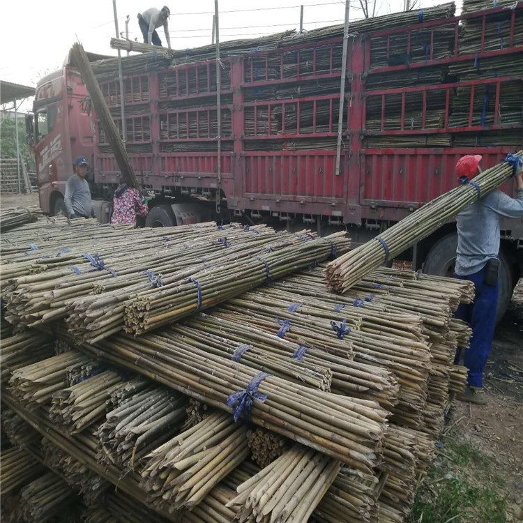 2米-3米菜架竹